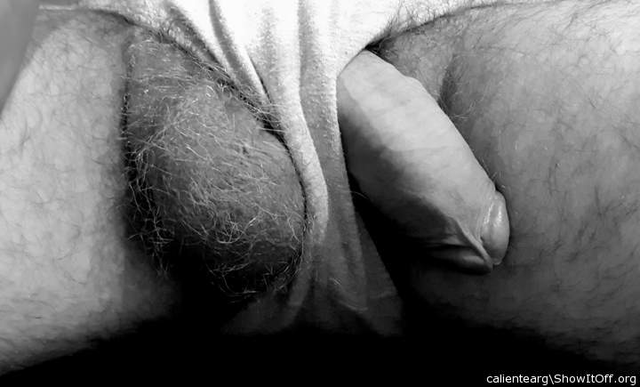 Adult image from calientearg