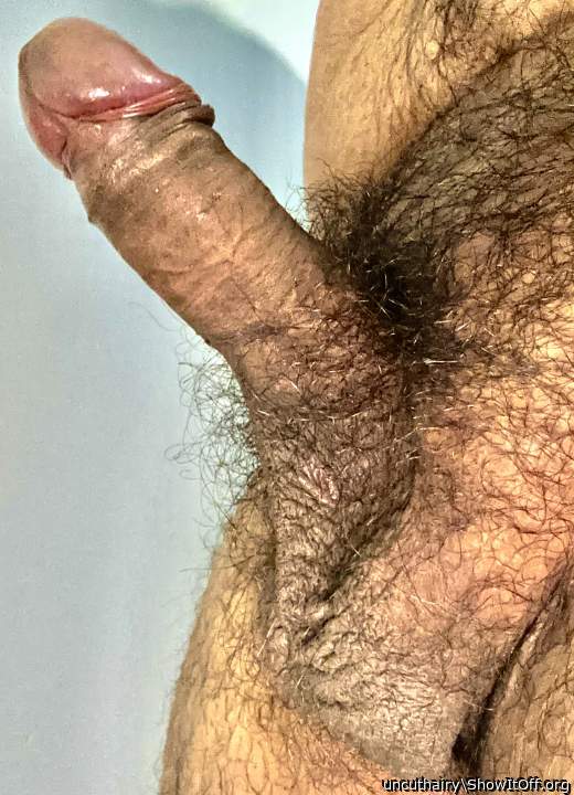 Full erection.