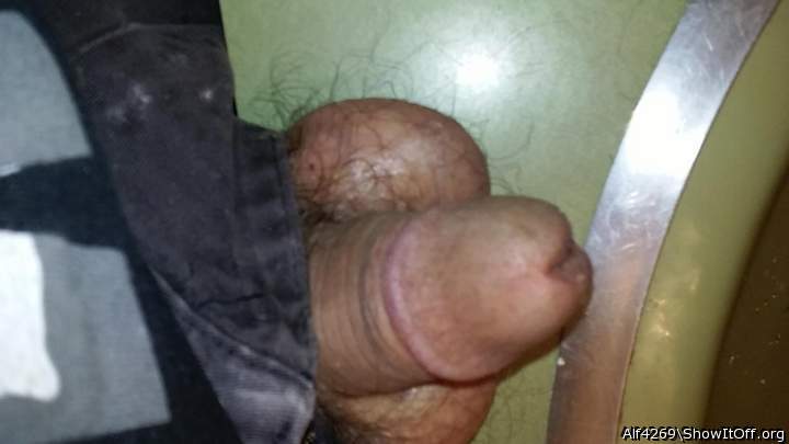 Adult image from Alf4269