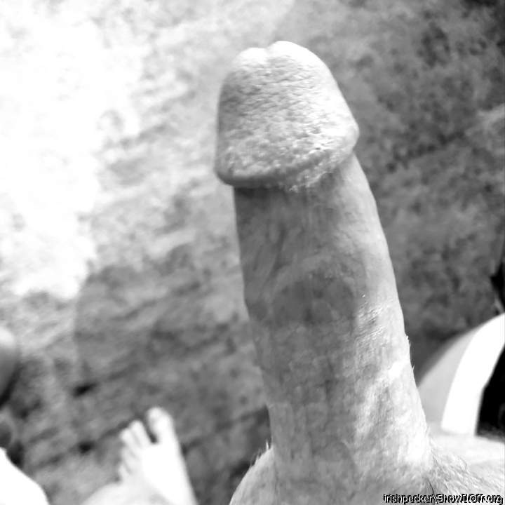 Adult image from irishpecker