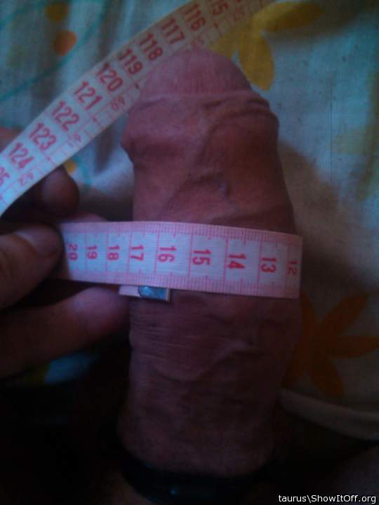 Adult image from taurus
