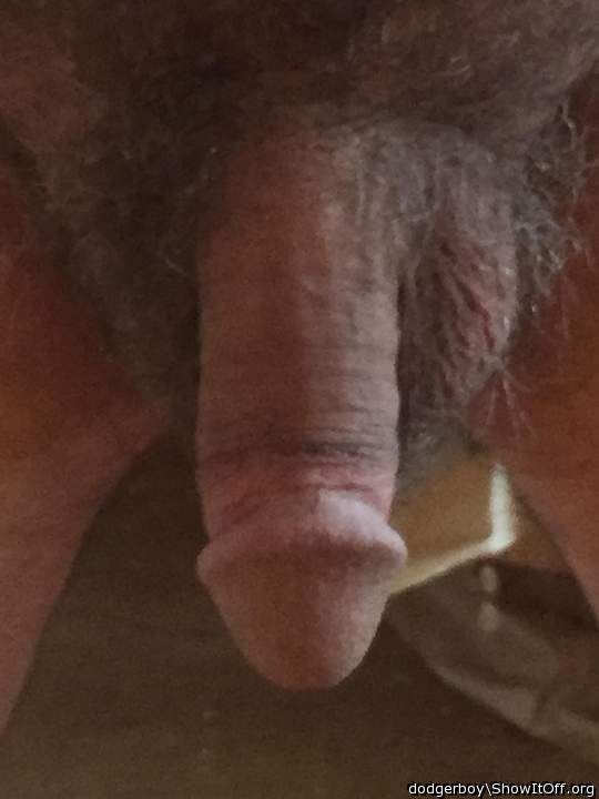 Adult image from dodgerboy