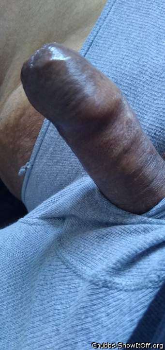 Adult image from Chubbs