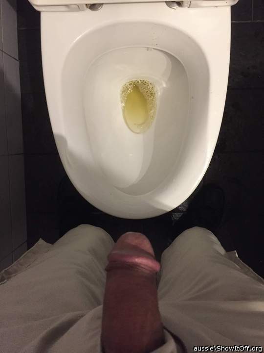 Adult image from aussie