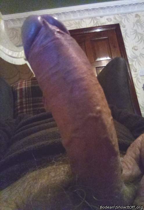 I'd love to suck a load from your hot thick cock 