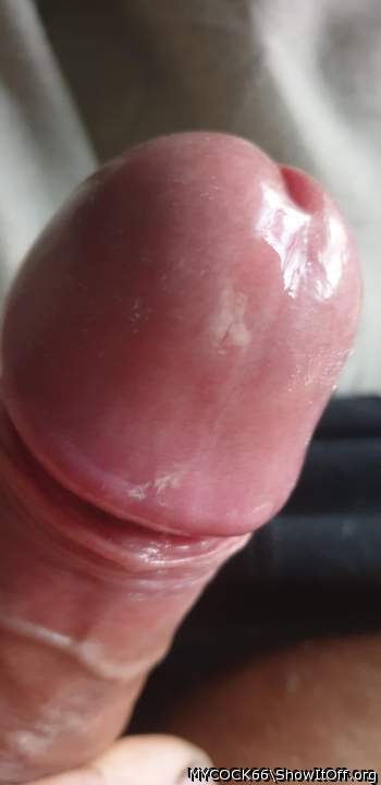 Adult image from MYCOCK66