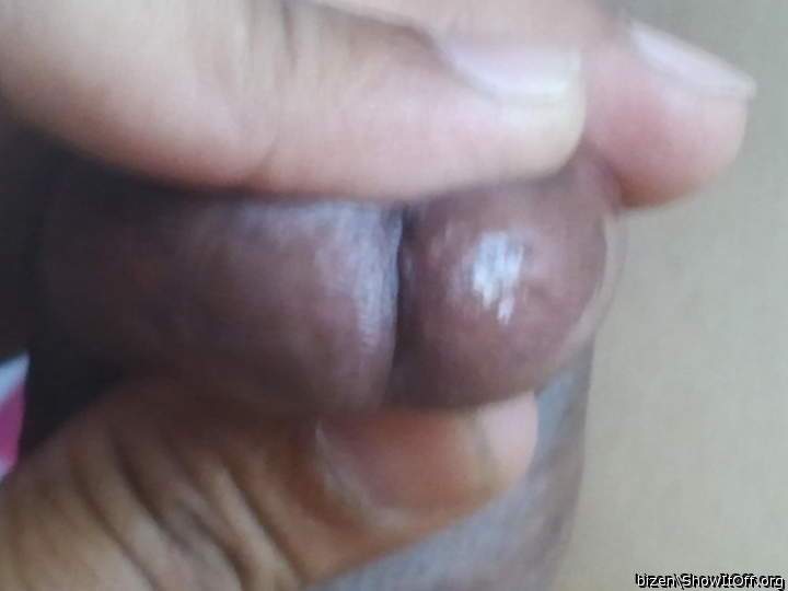 Adult image from bizen