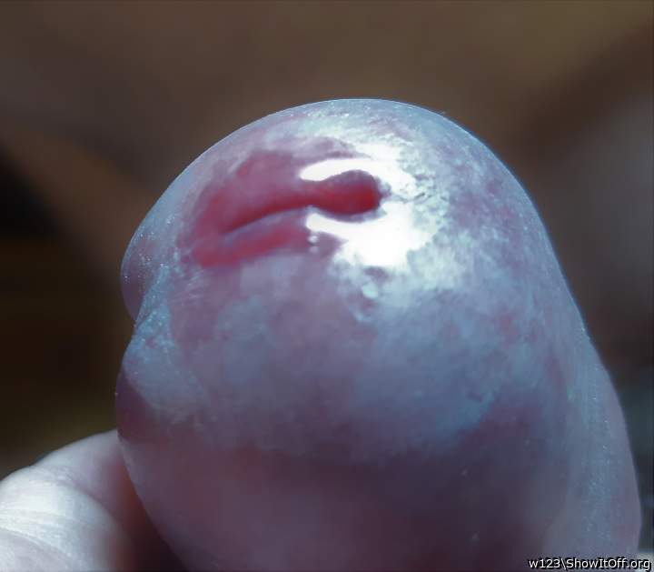 Adult image from w123