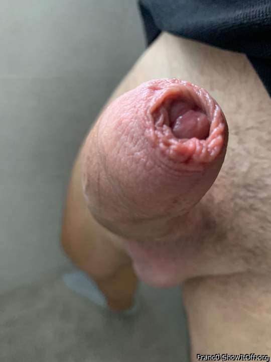 Adult image from Franc0