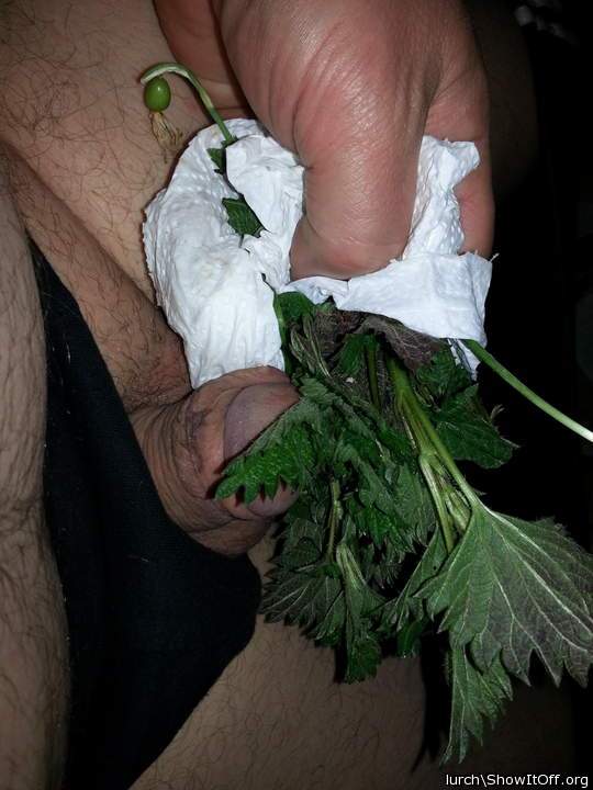Adult image from lurch