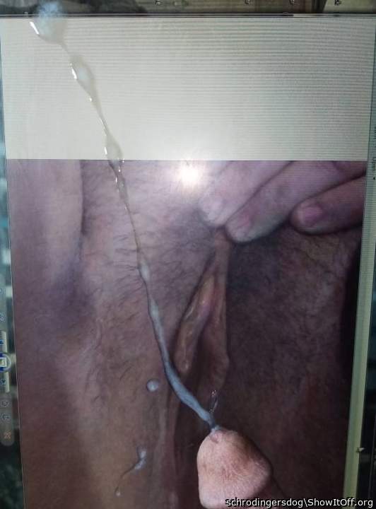 Adult image from schrodingersdog