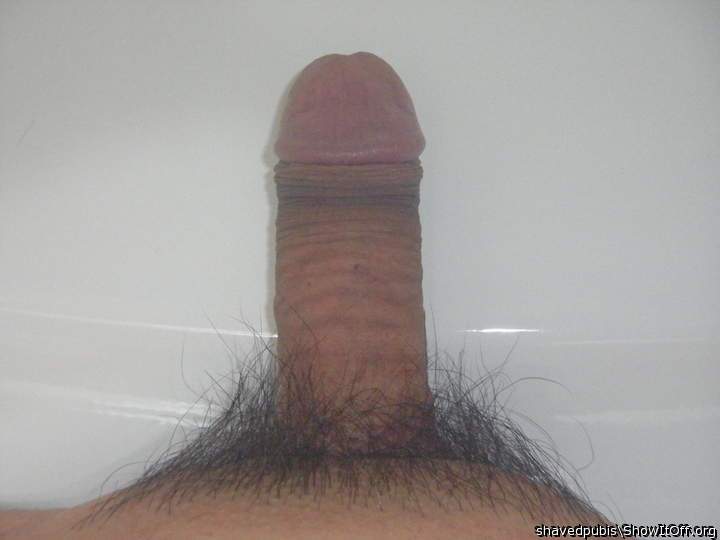Adult image from shavedpubis
