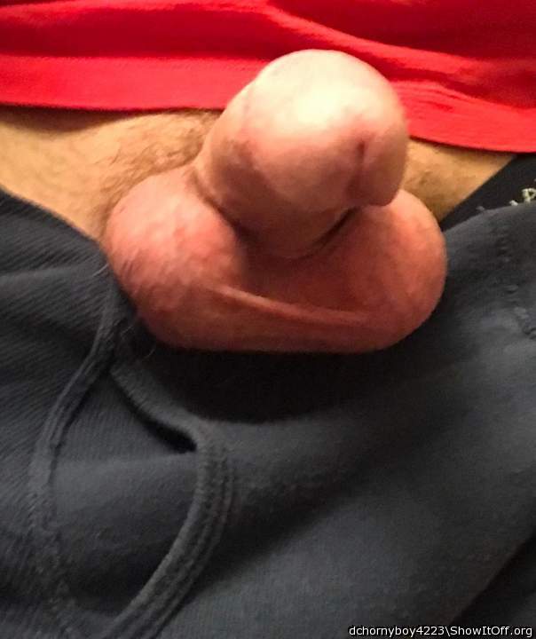 Adult image from dchornyboy4223