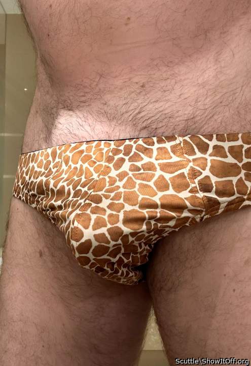Adult image from Scuttle