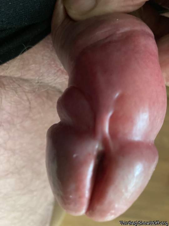 Adult image from Thirdleg