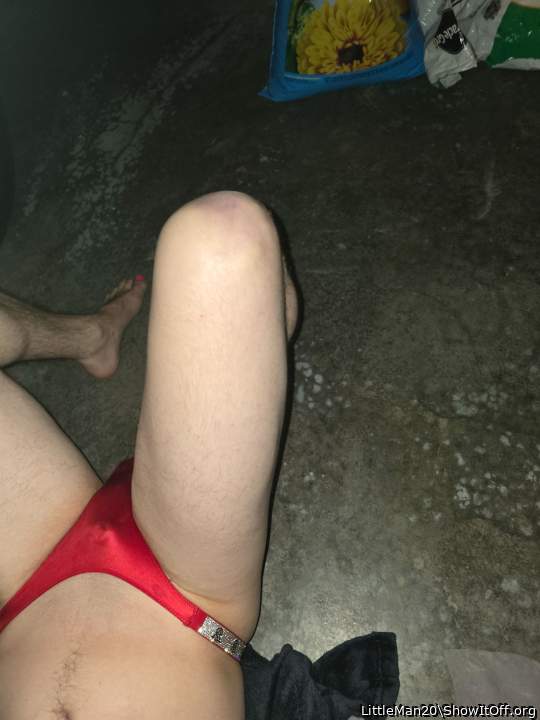 Adult image from LittleMan20