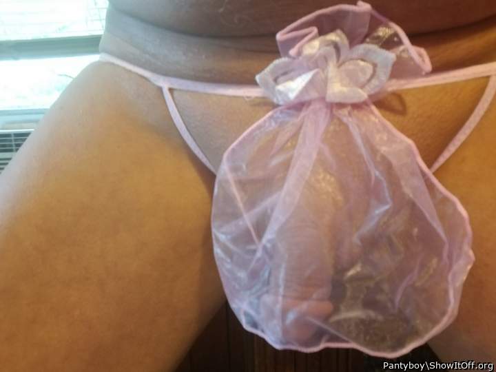 Adult image from Pantyboy