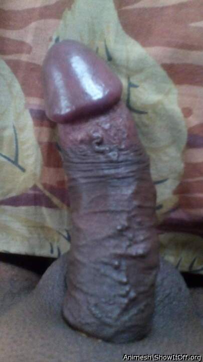 Adult image from Animesh