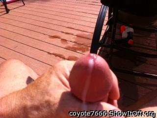 Adult image from coyote7666