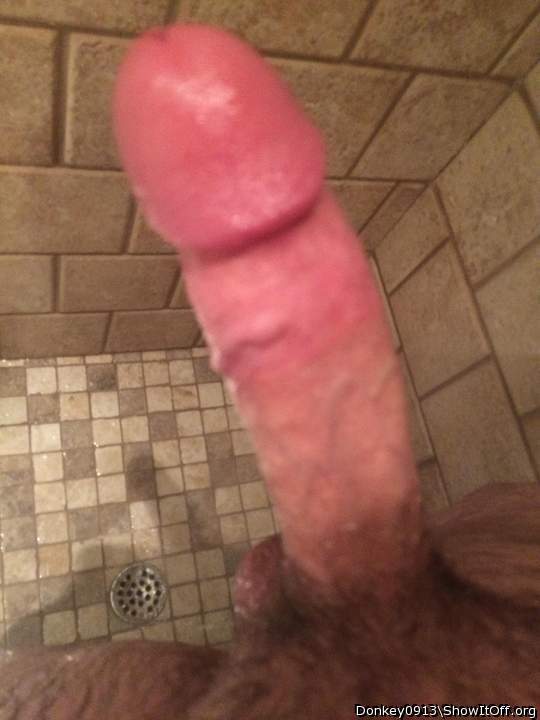 Adult image from Donkey0913