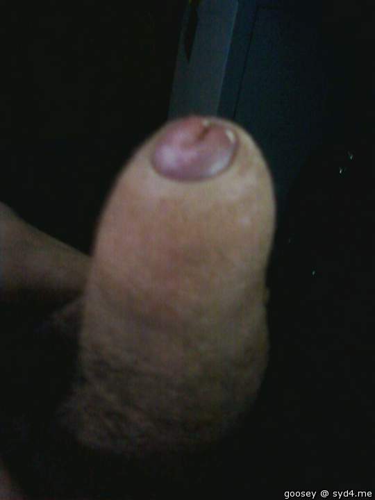 Adult image from Goosey