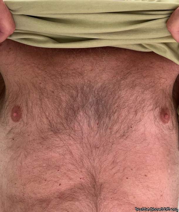 Adult image from Scuttle