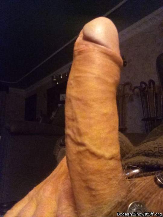 Adult image from Bodean