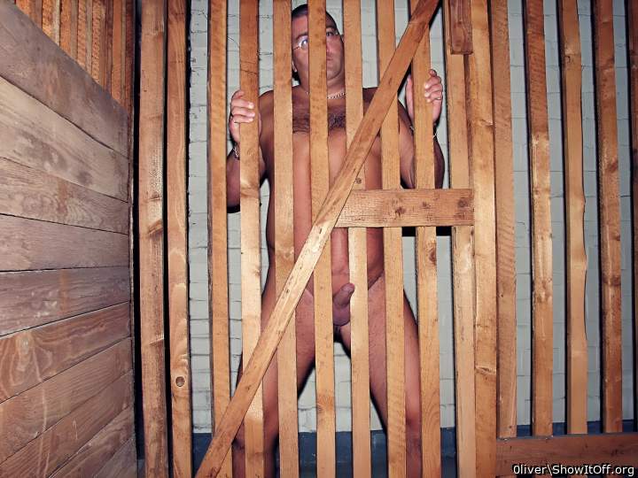 Adult image from 0liver