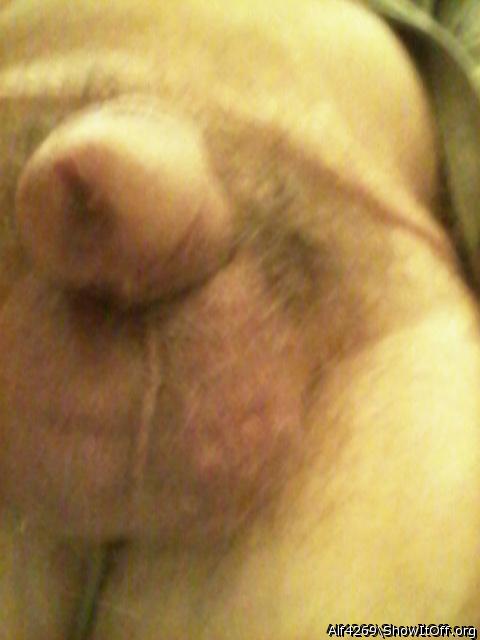 Adult image from Alf4269