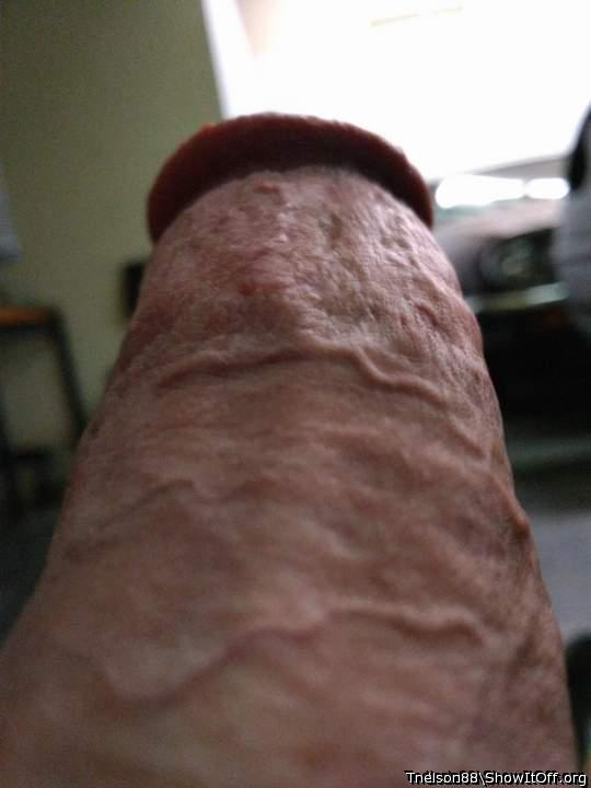 Adult image from Tnelson88