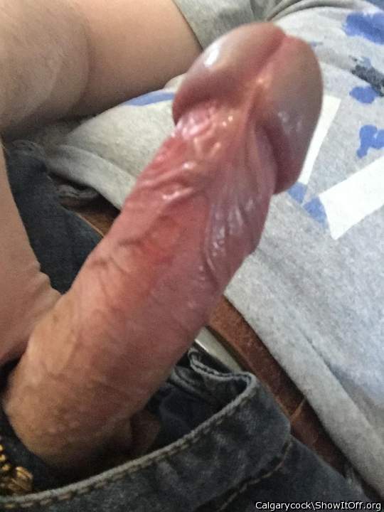 Adult image from Calgarycock