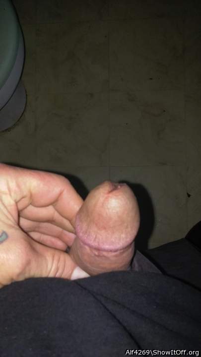 Adult image from Alf4269