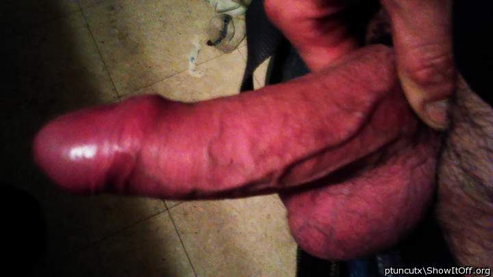 Adult image from ptuncutx