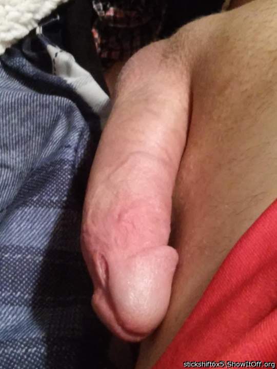 Adult image from stickshift6x5