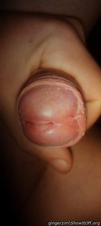 Adult image from gingerzim
