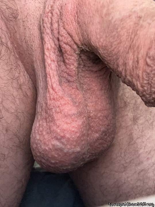 Adult image from Lovespie