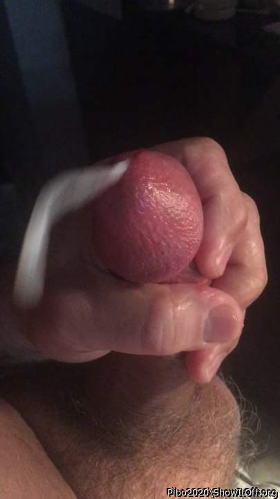 Adult image from Pibo2020