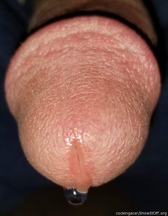 Adult image from cockingace