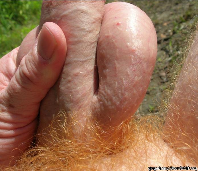 Adult image from gingerhairy