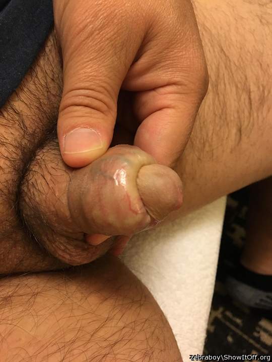Adult image from zebraboy