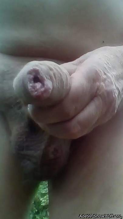 Adult image from Ade59
