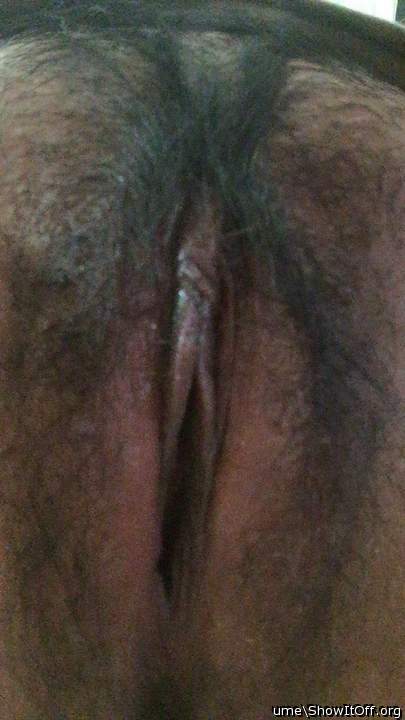 Beautiful hairy pussy! 