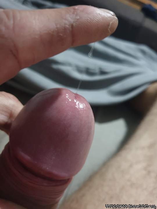 Adult image from MYCOCK66