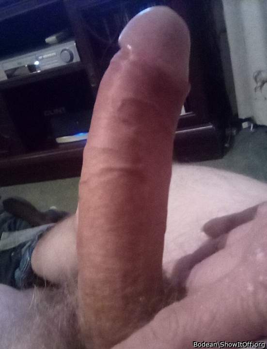 Adult image from Bodean