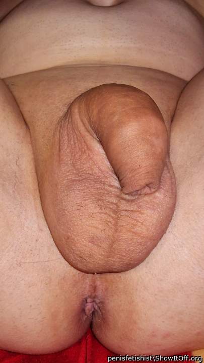 Adult image from penisfetishist