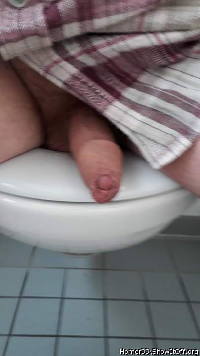 Adult image from Homer33