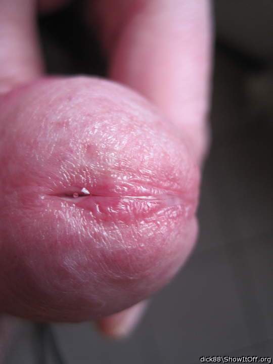 Adult image from Dick88