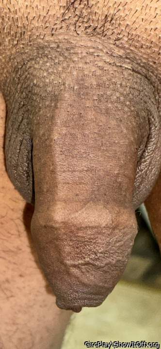 Adult image from CircPlay