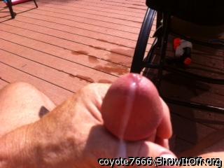 Adult image from coyote7666