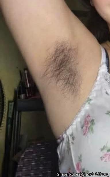 Adult image from GingerPubes